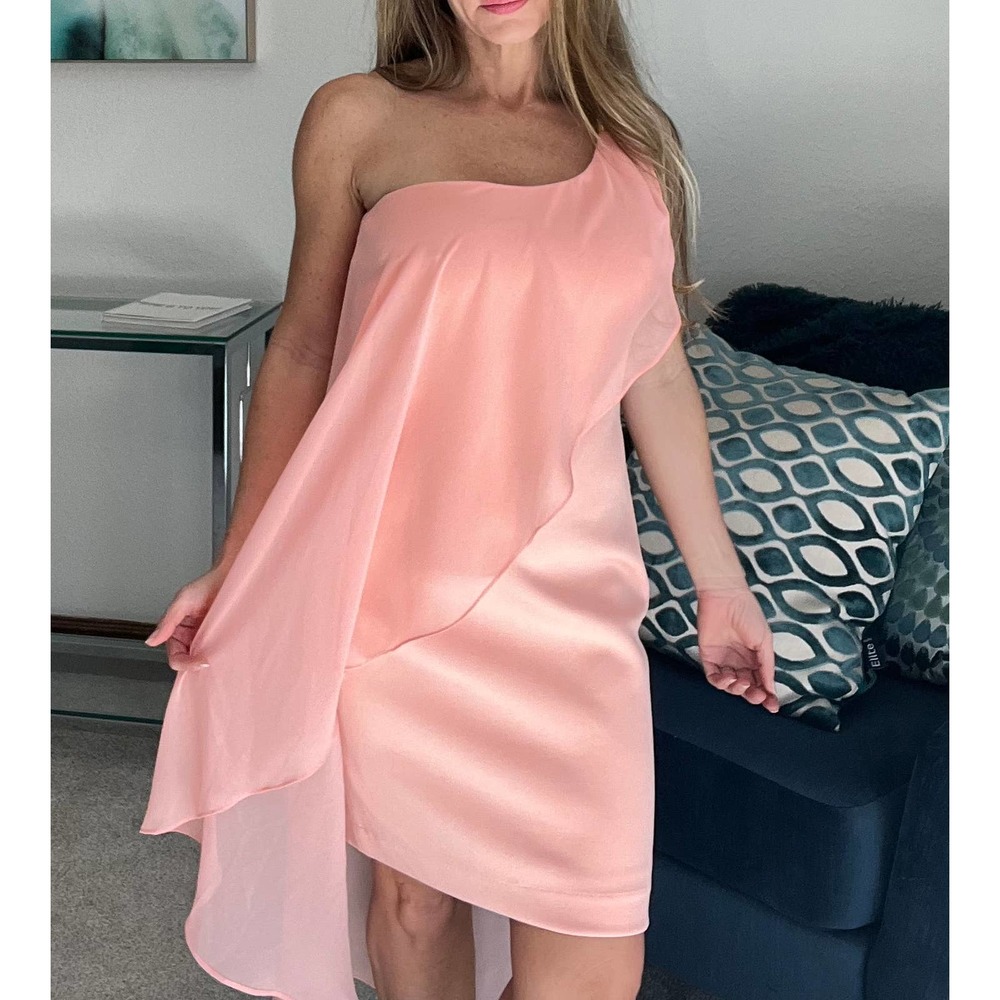 Bebe Asymmetrical Dress